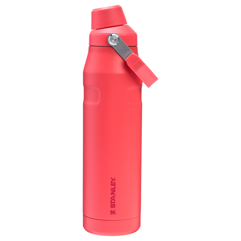 IceFlow™ Bottle with Fast Flow Lid | Stanley Create D315A